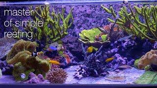 Amazing Aquariums & Reefs Lives Up To Its Name