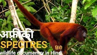 Spectres of the jungle - हिंदी डॉक्यूमेंट्री ! Africa wildlife Hindi documentry