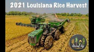 2021 Louisiana Rice Harvest 4K