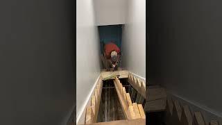 Basement step treads  | Almost finished the house!  #shorts #builder #diy #construction #steps