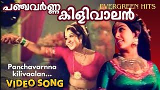 Panchavarna Kilivalan | Video Song | Malayalam Evergreen Hits | Prem Nasir |Sheela | Kannapannunni