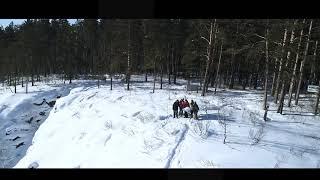 Siberia Discovery Team | Зверобой