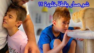 شو صار بقطة خلودة (ياترى لسا عايشة)