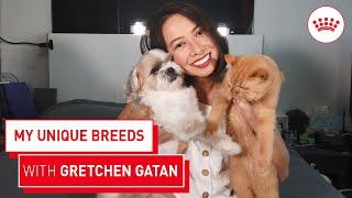 My Unique Breeds with Gretchen Gatan | Royal Canin PH