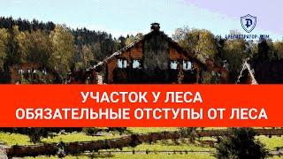 Земельный участок у леса - обязательные отступы от леса при строительстве дома. #земельныйучасток