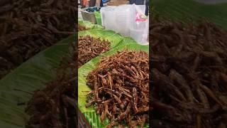 Want to try some exotic food in Thailand? I took my American fiancée to a night market in Bangkok.