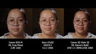 SONY A7Siii vs MAGIC LANTERN (Crop Mood and Danne's Build)