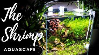 AQUASCAPE TUTORIAL: How to setup a beautiful nano aquarium for shrimps ( Step by step )