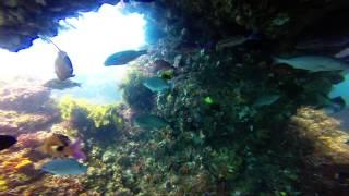 Rottnest Island Dive - Roe Reef