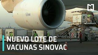 Llega a México un millón de vacunas de SinoVac - Sábados de Foro