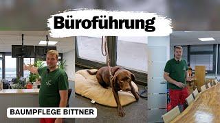 Exklusive Tour: Entdecke Timo's Büro bei Baumpflege Bittner von innen