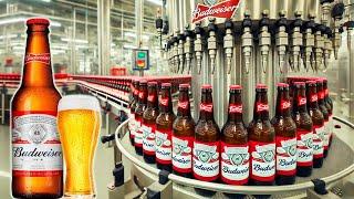 How BEER Is Made In Factory?  Captain Discovery