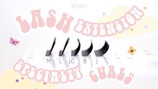 all about SPECIAL CURLS | lash extension | L/M/J/B/LC