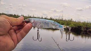 SMALL RIVER FLOAT FOR MUSKIES AND PIKE!! - Skinny Water and Small Baits