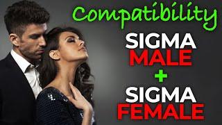 Is Sigma Male Compatible with Sigma Female? Sigma Compatibility