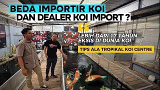 Salah Satu Dealer Koi Import Terlama Di Indonesia Tropikal Koi Centre