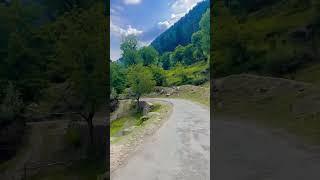 Mountains || kashmir || Srinagar || travel || forests || solo ride ||#shorts #kashmir #viral #forest