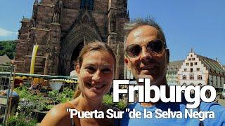 Friburgo, qué ver en la puerta sur de la Selva Negra