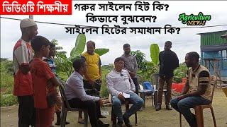 গরুর সাইলেন হিট কি? কিভাবে বুঝবেন? সাইলেন হিটের সমাধান কি? | Dr. Mehedi | bayezid moral