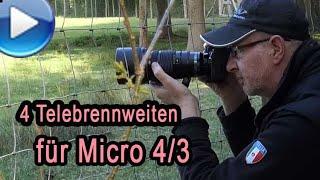 4 lange Telebrennweiten für Micro 4/3 im Test