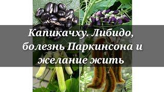 Капикачху, либидо, болезнь Паркинсона и желание жить. Мукуна жгучая.