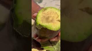 Avocado Gone Bad. Rotten Avocado. #funny #spoiled #rotten #unsafe #wasted #fruit #avocado #shorts