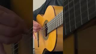 Paso doble technique with bottle #flamencoguitar #guitarmusic #flamencoguitarist #music