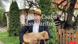 Sándor Csaba – A juhásznak jól van dolga (2020. 05. 22.)