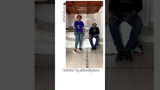 Scooby Nero- ZANKU starring Da Publicist (viral video )