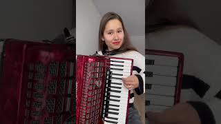 «Под небом Парижа» #accordeon #аккордеон #париж #paris #франция #edithpiaf