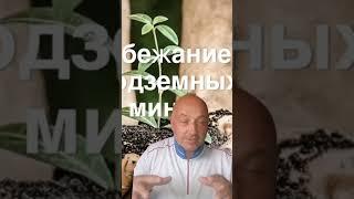ПОДЗЕМНАЯ МИНА / пресвитер Евгений Асламов/МИРОТВОРЕЦ г.НОВОСИБИРСК