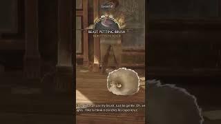 As a Hufflepuff, I’m overwhelmed!! #hogwartslegacywalkthrough #gameplay #hogwartslegacy