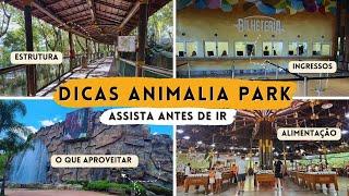 TODAS AS DICAS DO ANIMALIA PARK