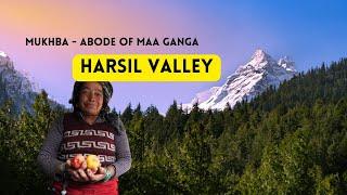 HEAVEN OF UTTARAKHAND - Harshil Valley || MUKHBA - The Home of MAA GANGA