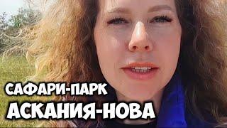 УЕХАЛИ из КРЫМА. Не ожидали такое! Аскания - Нова Приехали в биотический заповедник. Спасибо Тайган