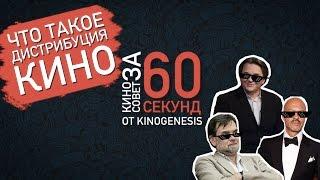 Что такое дистрибуция кино. Киносовет за 60 секунд.