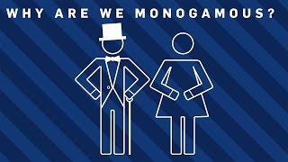 Why Be Monogamous? | Earth Science