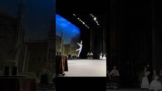 ドン・キホーテ第3幕よりバジルのVa #ballet #donquixote #バレエ