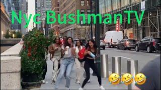 34th street was horrified by the bush!! Bushman prank