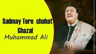 Sadmay tere chahat k kbi .Muhammad Ali Ghazal. #Muhammadali #mastersaleem #Ghazal #canda #newghazal
