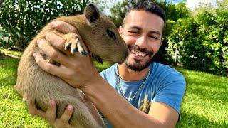 Should WE Keep The BABY CAPYBARA?!