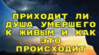 Приходит ли душа умершего к живым и как это происходит