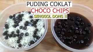 Resep Puding Coklat Choco Chips Enak dan Mudah