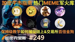 2024加密牛市指南，热门MEME军火库，保姆级教学如何捕捉链上&交易所百倍金狗，带你抓住下一个松鼠【加密克里斯 第249期】