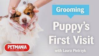 Puppy's First Visit at Petmania Grooming Studios with Laura Pietrzyk