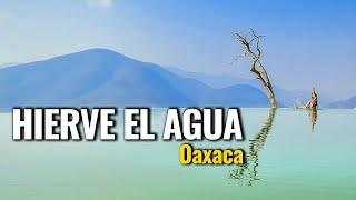 HIERVE EL AGUA, OAXACA + ÁRBOL DEL TULE / A Patín por México