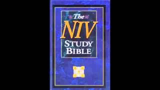 The Book of Deuteronomy (NIV Audio Bible Non Dramatized)