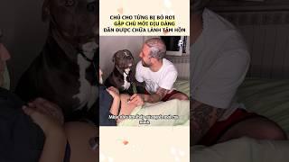 Chú chó bị chủ cũ bỏ rơi,Nhờ tình yêu chân thành, chàng trai đã giúp nó vượt qua bóng tối #cho