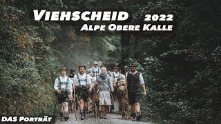 Viehscheid Alpe Obere Kalle 2022 | Das Porträt