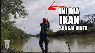 MENDUGA!! MEMANCING IKAN DI SUNGAI KINTA PERAK. DISINI PORT DI SUKAI PEMANCING